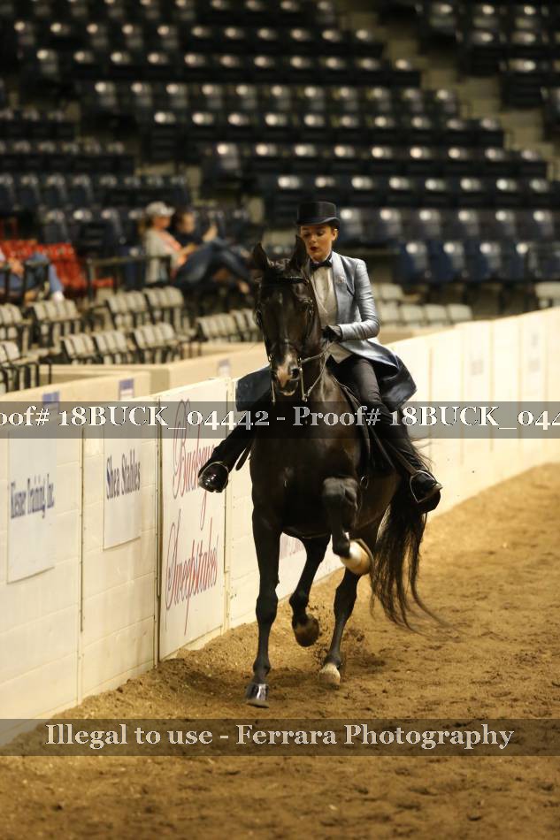 Proof 18BUCK_04442