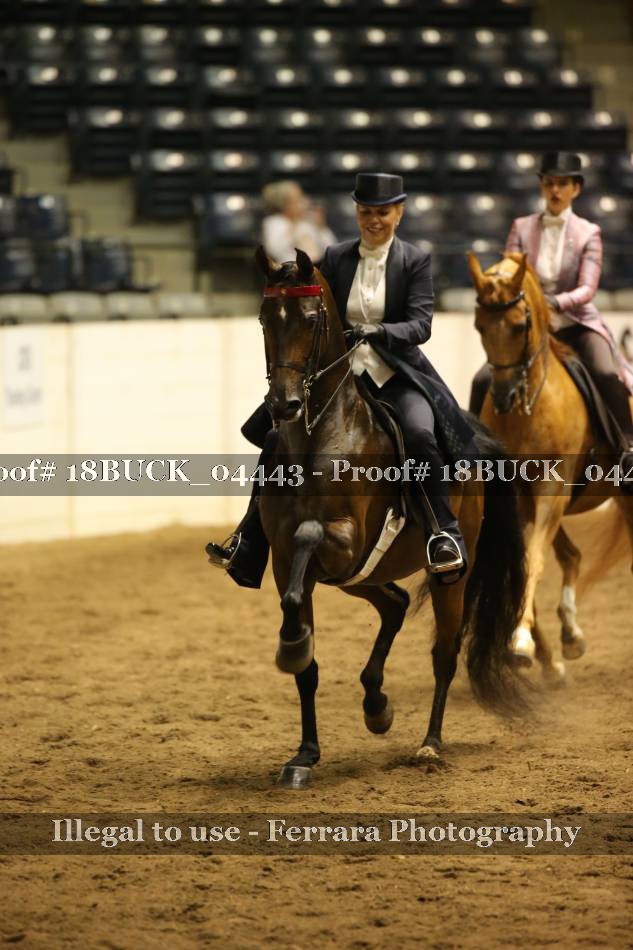 Proof 18BUCK_04443
