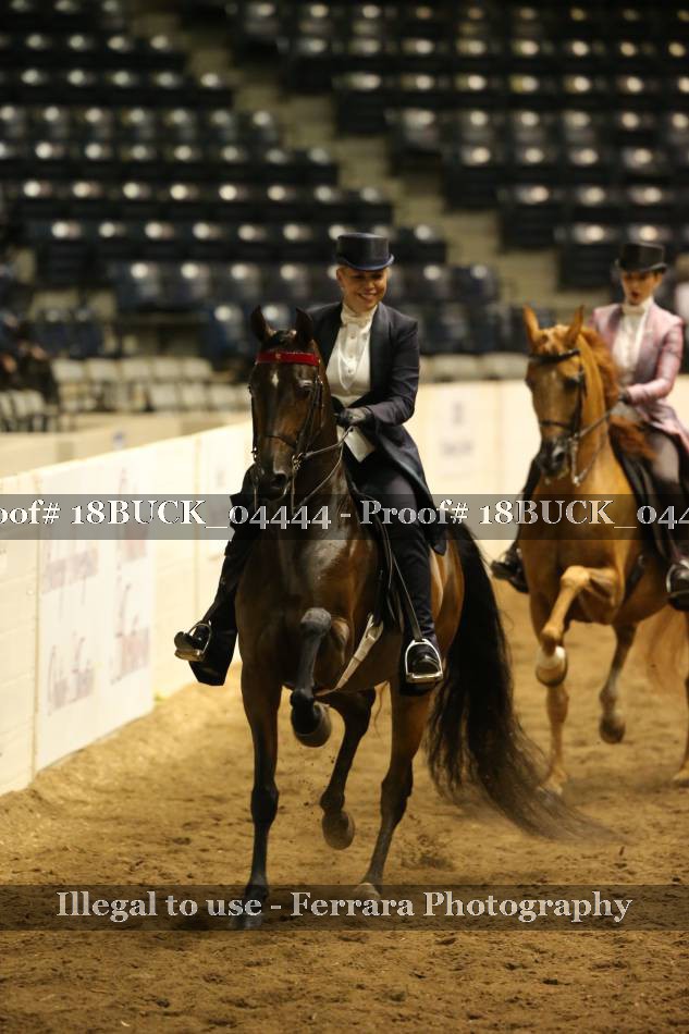 Proof 18BUCK_04444