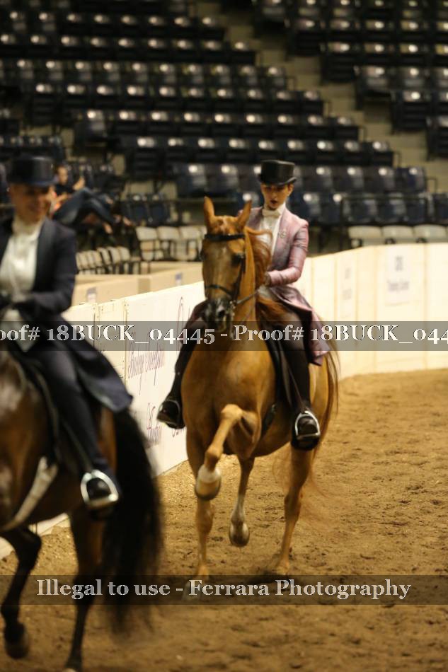 Proof 18BUCK_04445