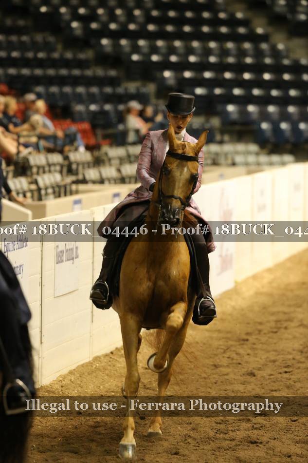 Proof 18BUCK_04446