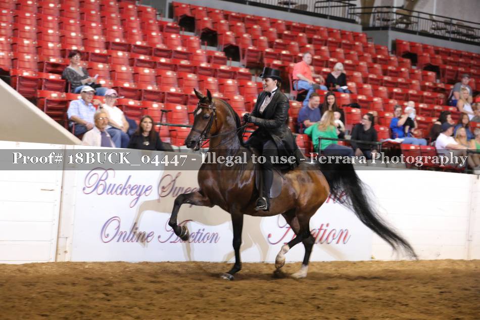 Proof 18BUCK_04447