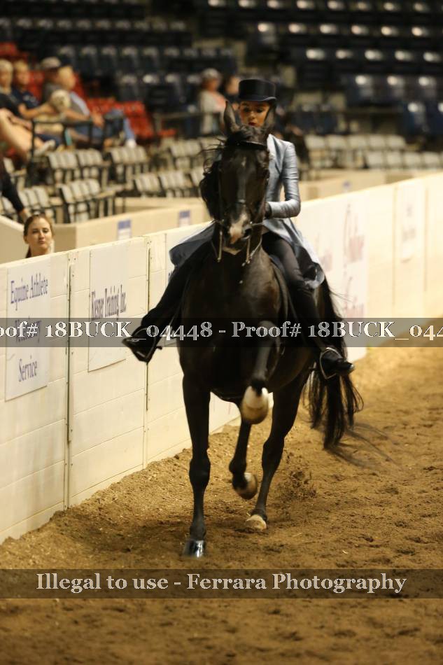 Proof 18BUCK_04448