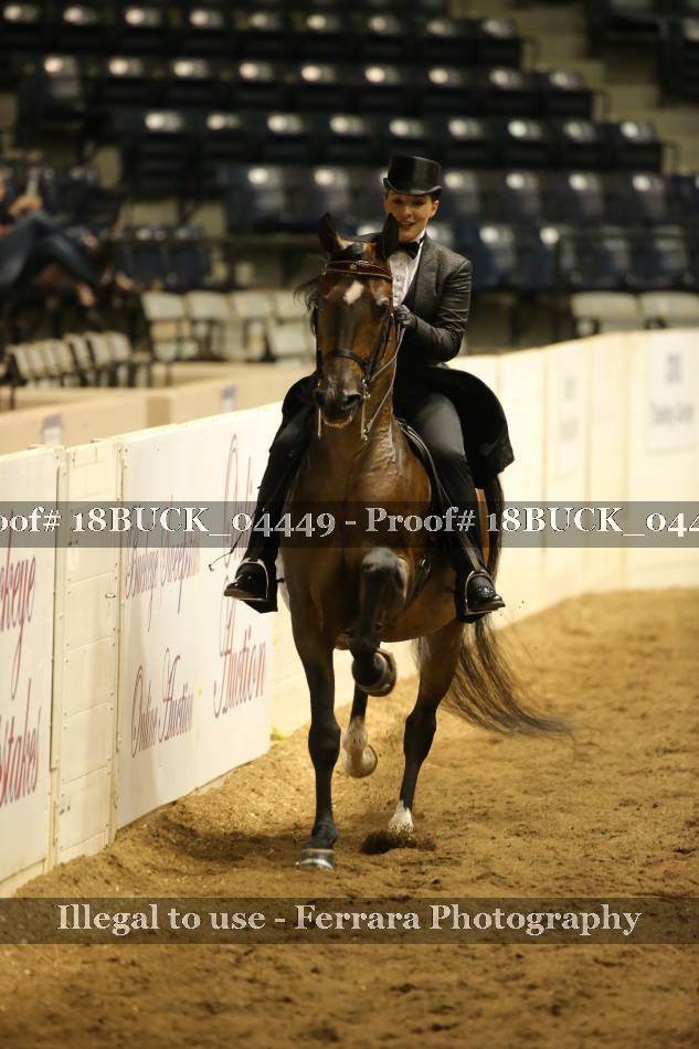 Proof 18BUCK_04449
