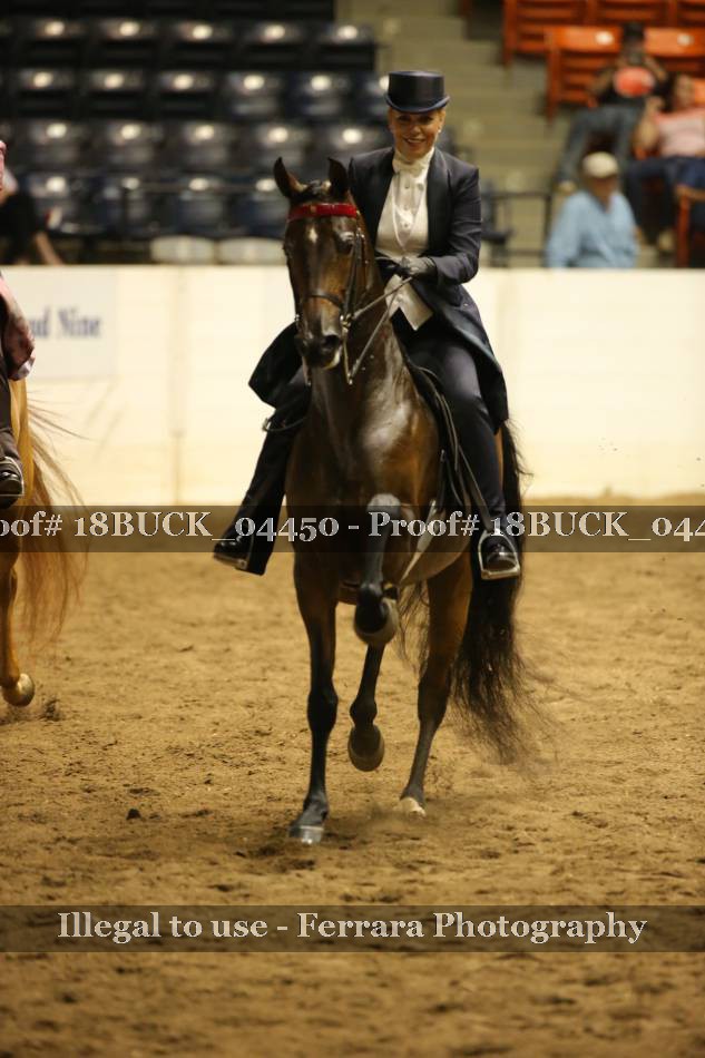 Proof 18BUCK_04450