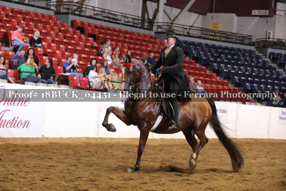 Proof 18BUCK_04451