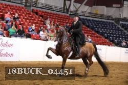 18BUCK_04451 proof