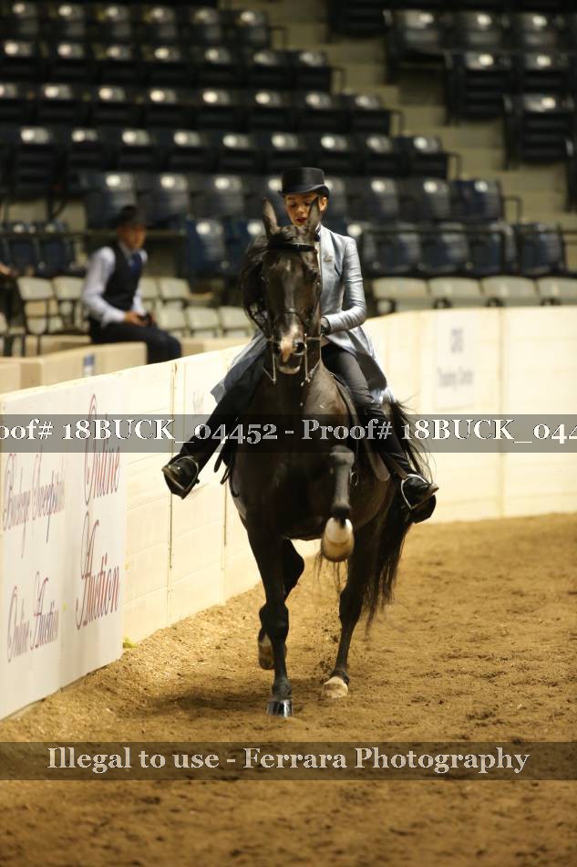 Proof 18BUCK_04452
