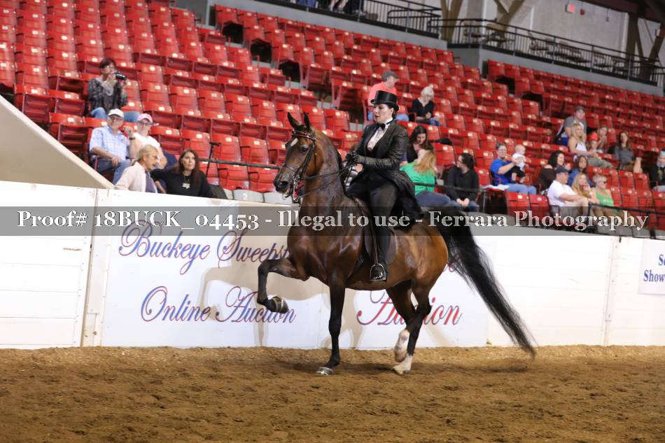 Proof 18BUCK_04453