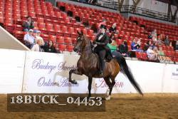 18BUCK_04453 proof