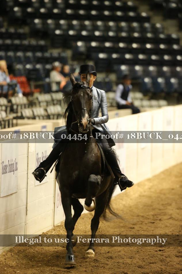 Proof 18BUCK_04454