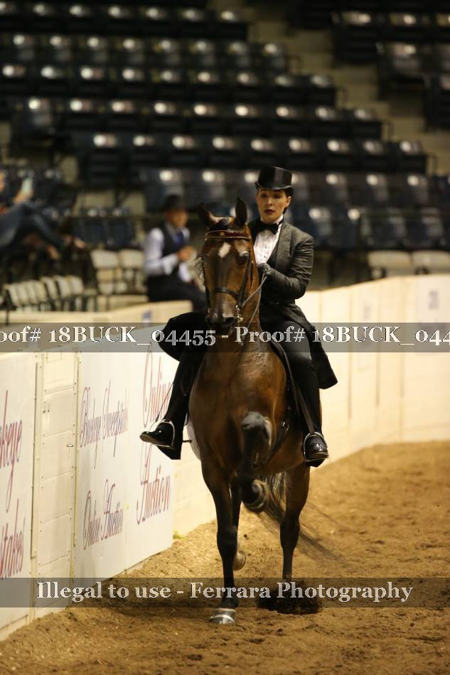 Proof 18BUCK_04455