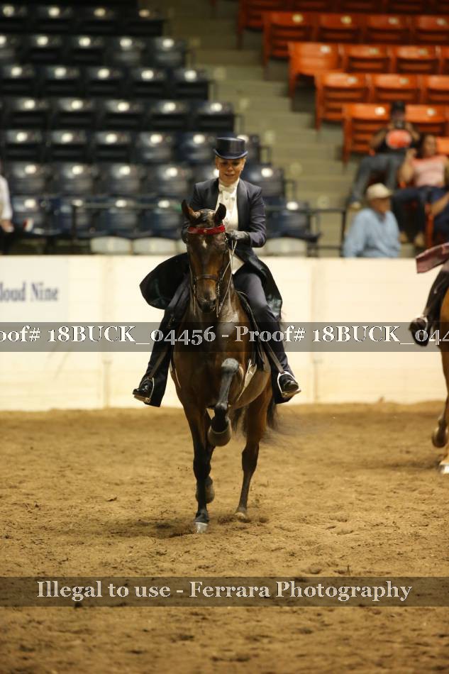 Proof 18BUCK_04456