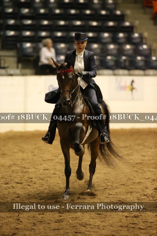 Proof 18BUCK_04457