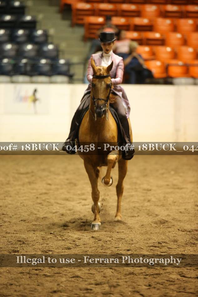 Proof 18BUCK_04458
