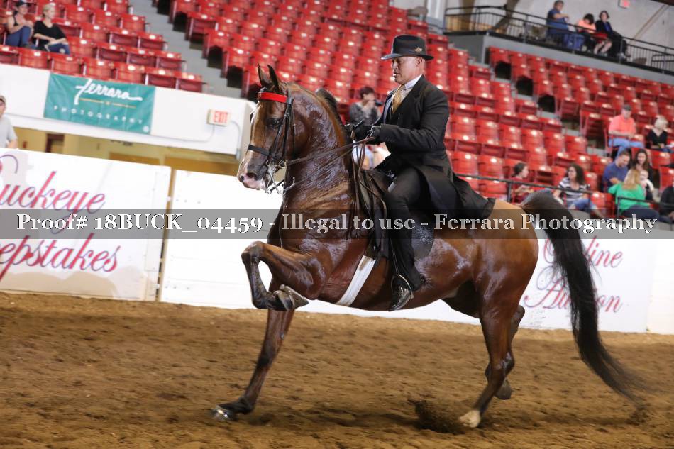 Proof 18BUCK_04459