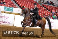 18BUCK_04459 proof