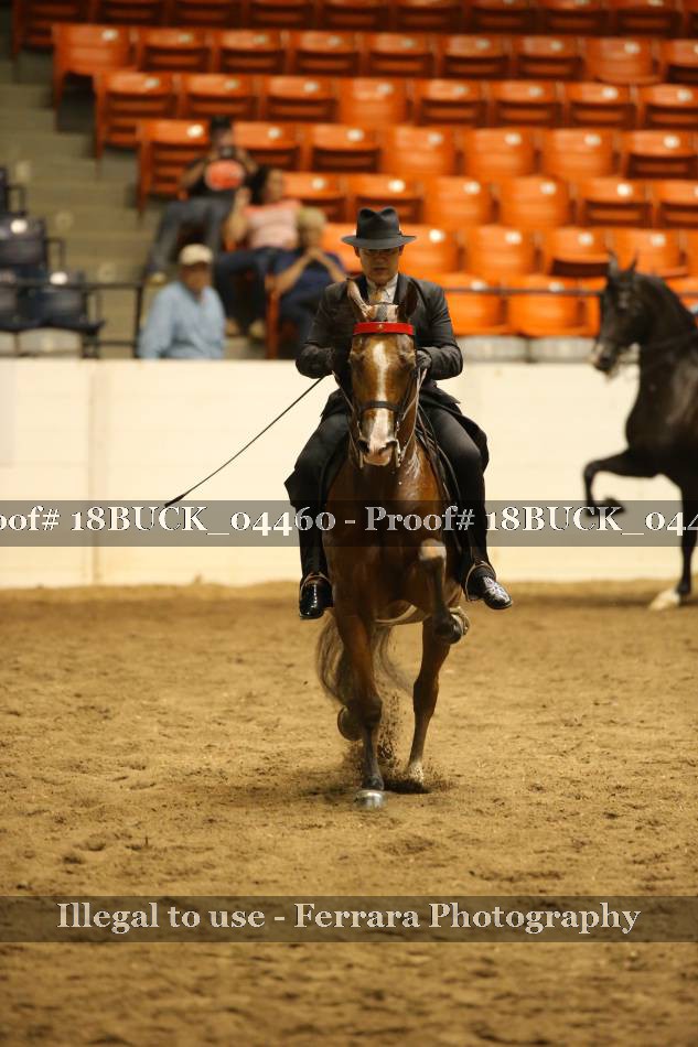 Proof 18BUCK_04460