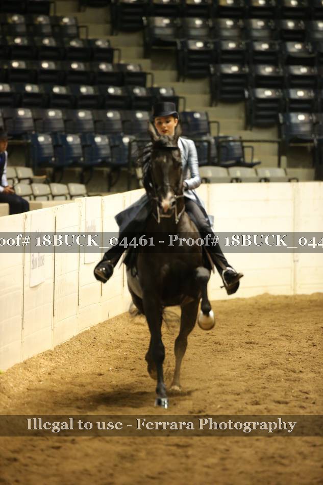 Proof 18BUCK_04461
