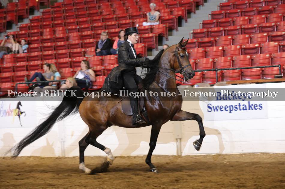 Proof 18BUCK_04462