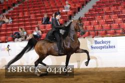 18BUCK_04462 proof