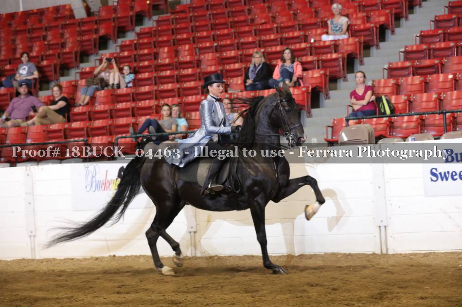 Proof 18BUCK_04463