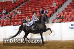 18BUCK_04463 proof