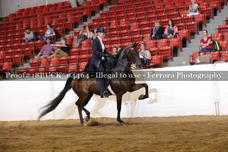 Proof 18BUCK_04464