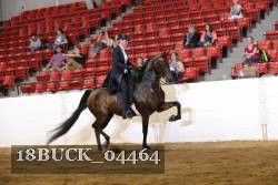 18BUCK_04464 proof
