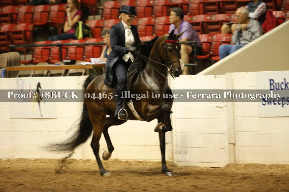 Proof 18BUCK_04465