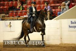 18BUCK_04465 proof