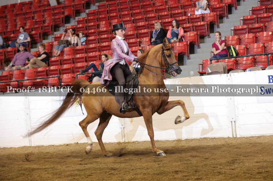 Proof 18BUCK_04466