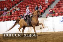 18BUCK_04466 proof