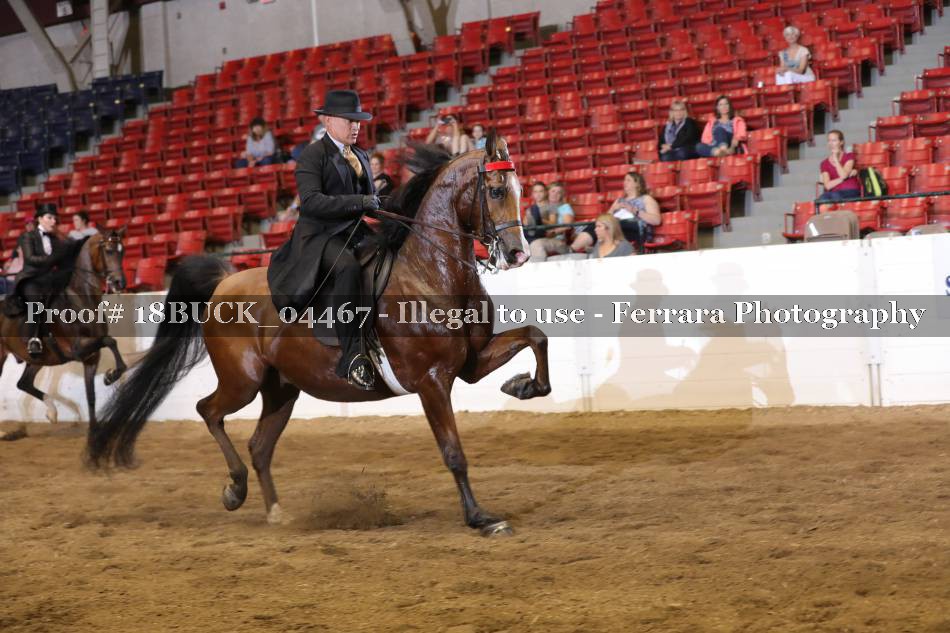 Proof 18BUCK_04467