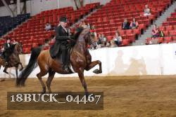 18BUCK_04467 proof
