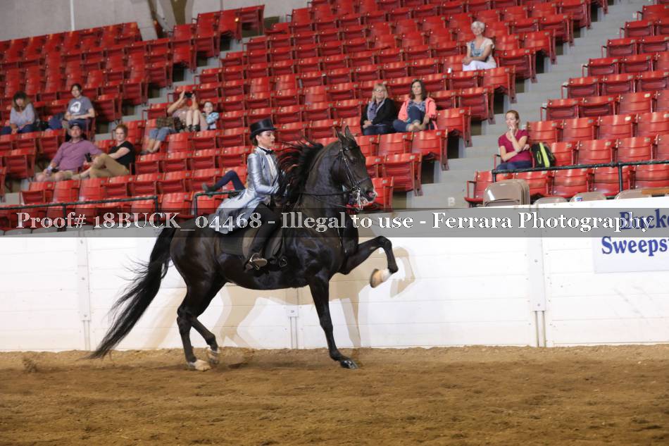 Proof 18BUCK_04468