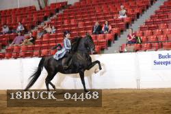 18BUCK_04468 proof