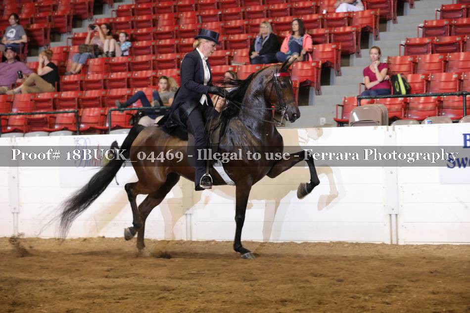 Proof 18BUCK_04469