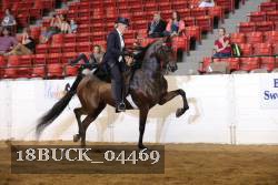 18BUCK_04469 proof