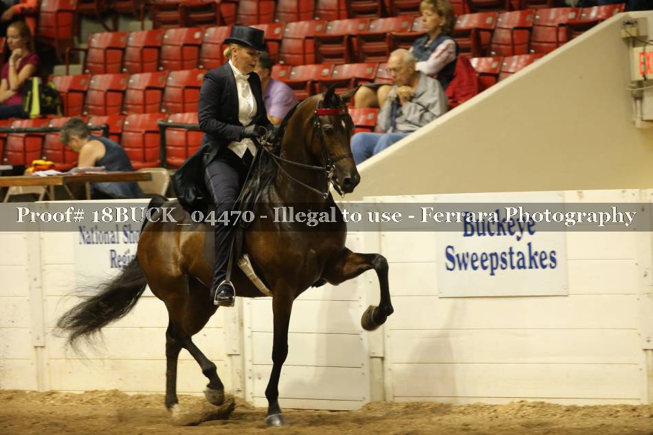 Proof 18BUCK_04470
