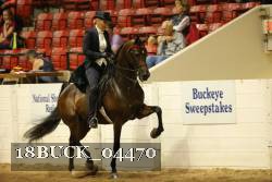 18BUCK_04470 proof