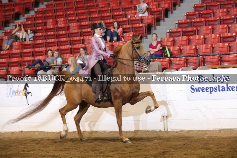 Proof 18BUCK_04471