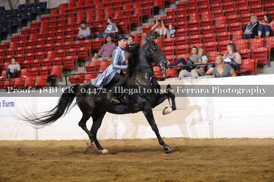 Proof 18BUCK_04472