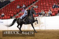 18BUCK_04472 proof