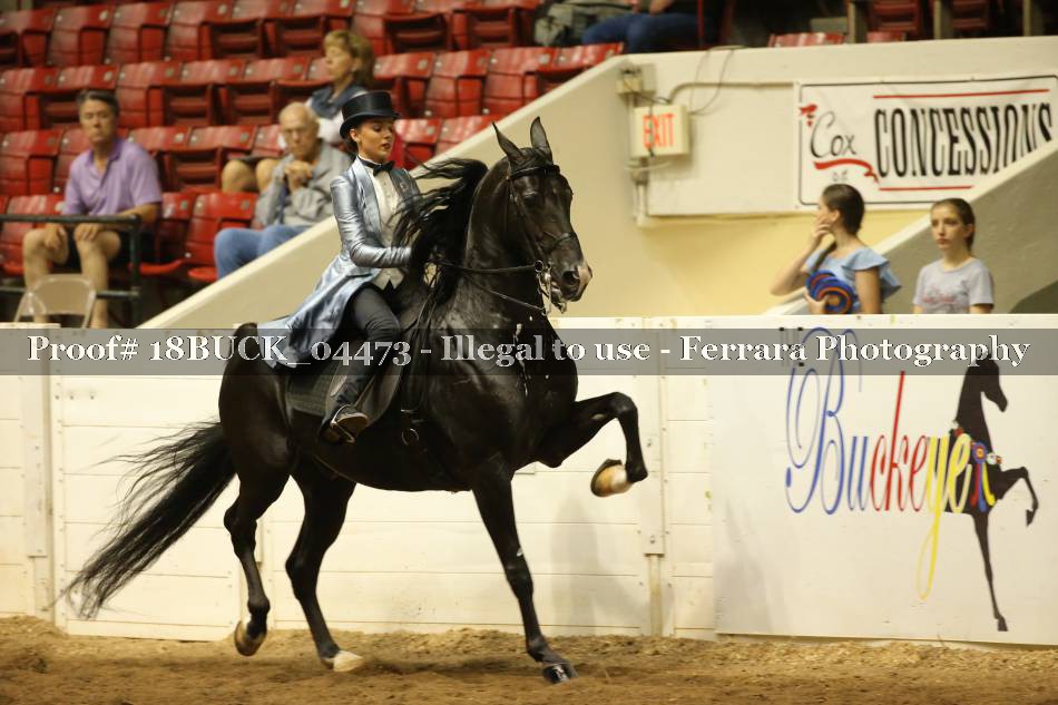 Proof 18BUCK_04473