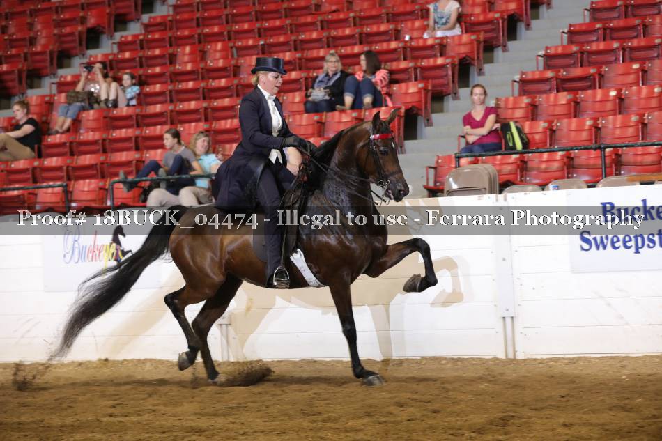 Proof 18BUCK_04474