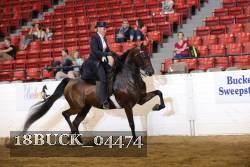 18BUCK_04474 proof