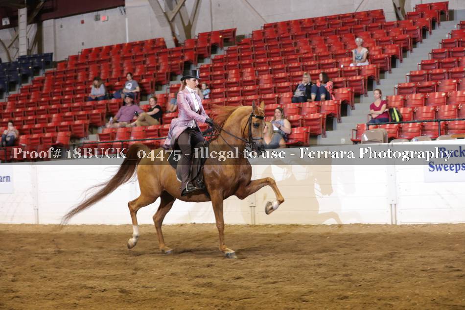 Proof 18BUCK_04475