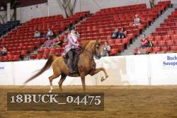 18BUCK_04475 proof