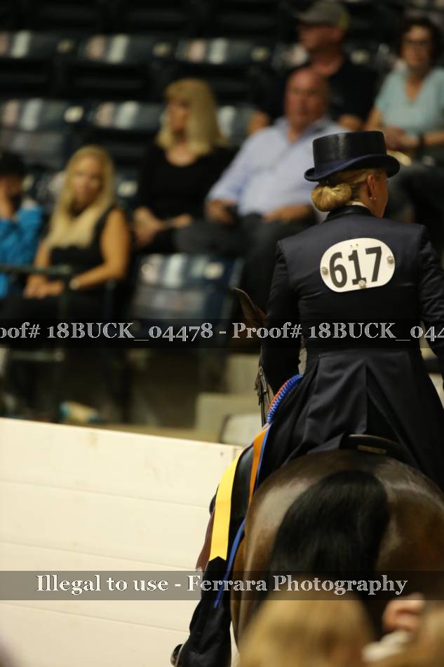 Proof 18BUCK_04478